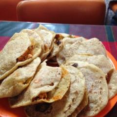 Gordita de Huevo Verde