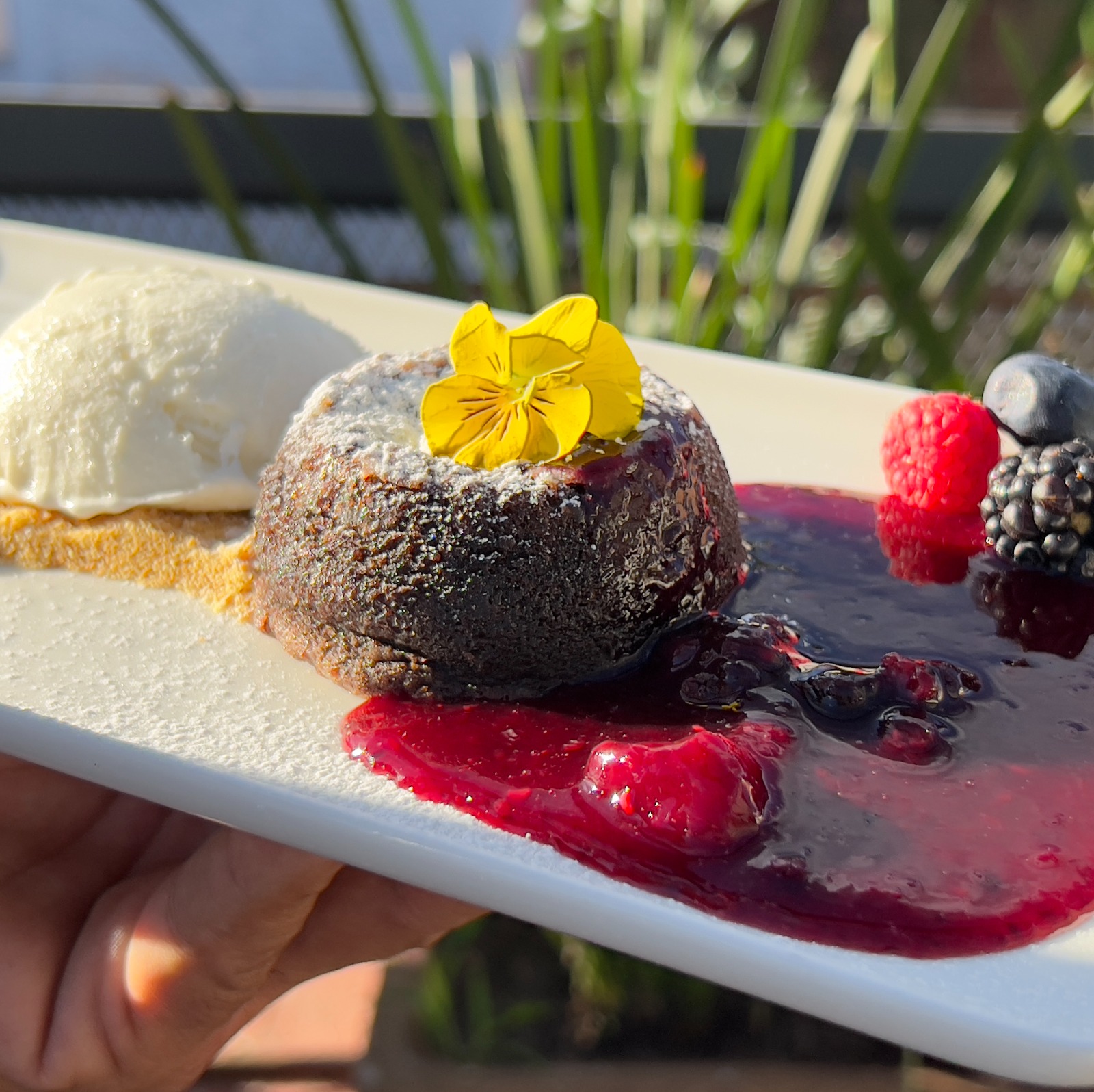 Coulant de Chocolate Amargo