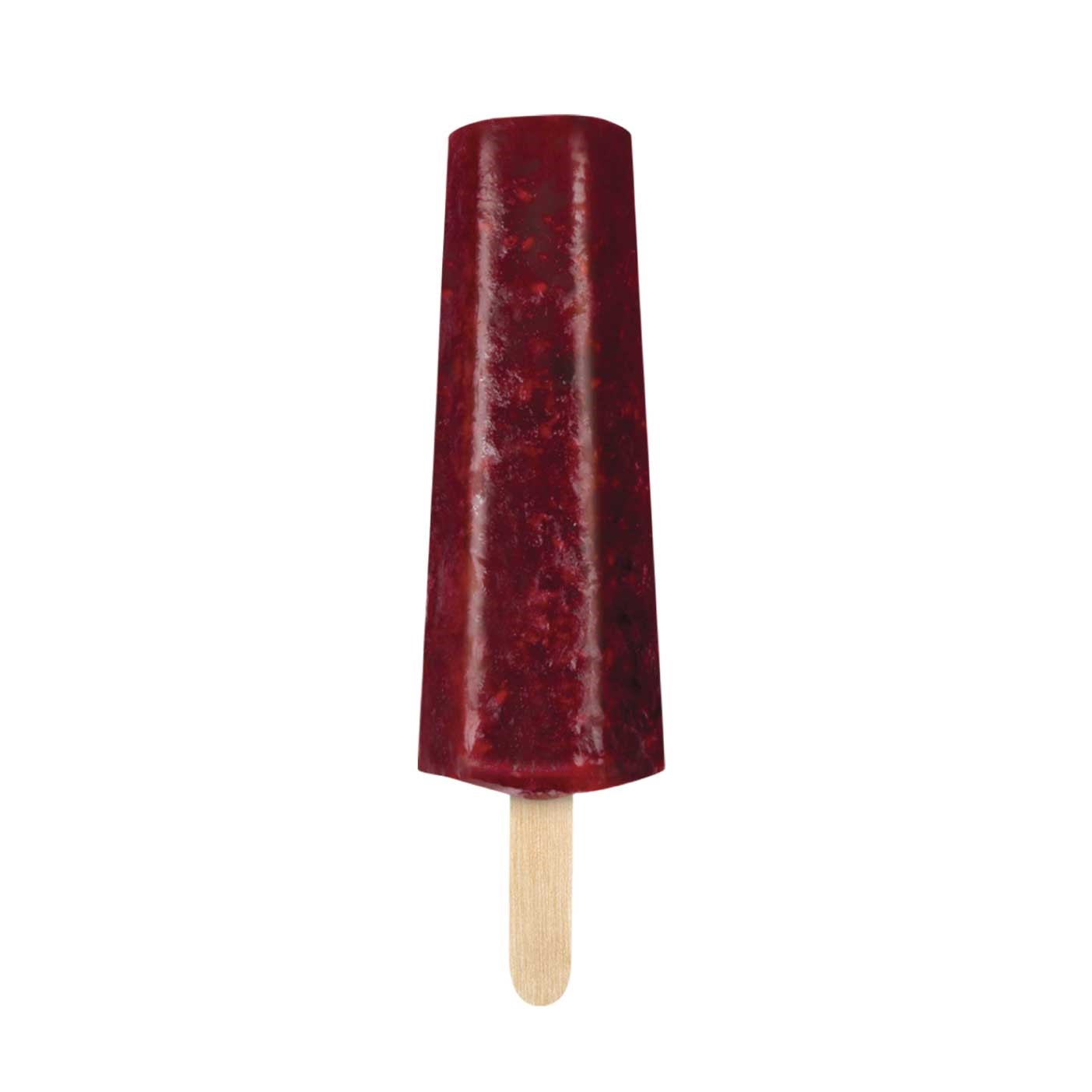Paleta de Zarzamora