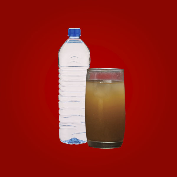 Agua de Tamarindo (500ml)