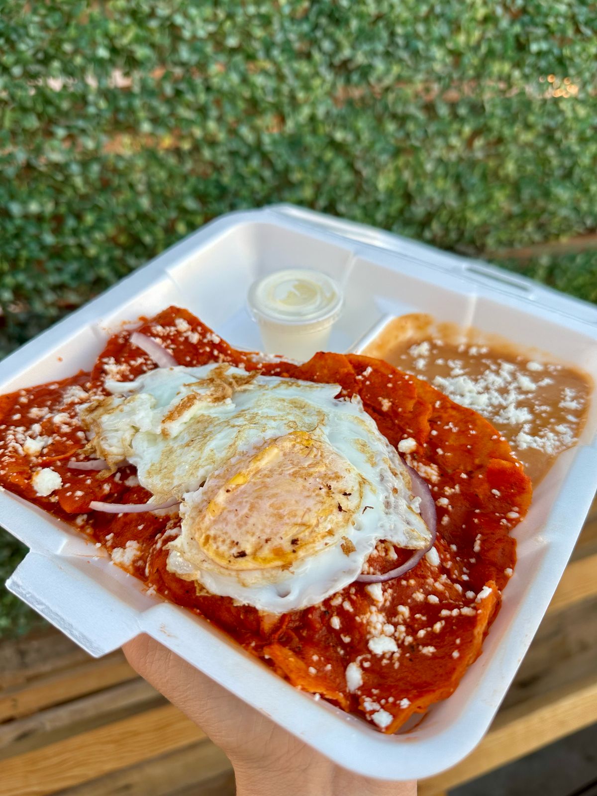 Chilaquiles con Huevo