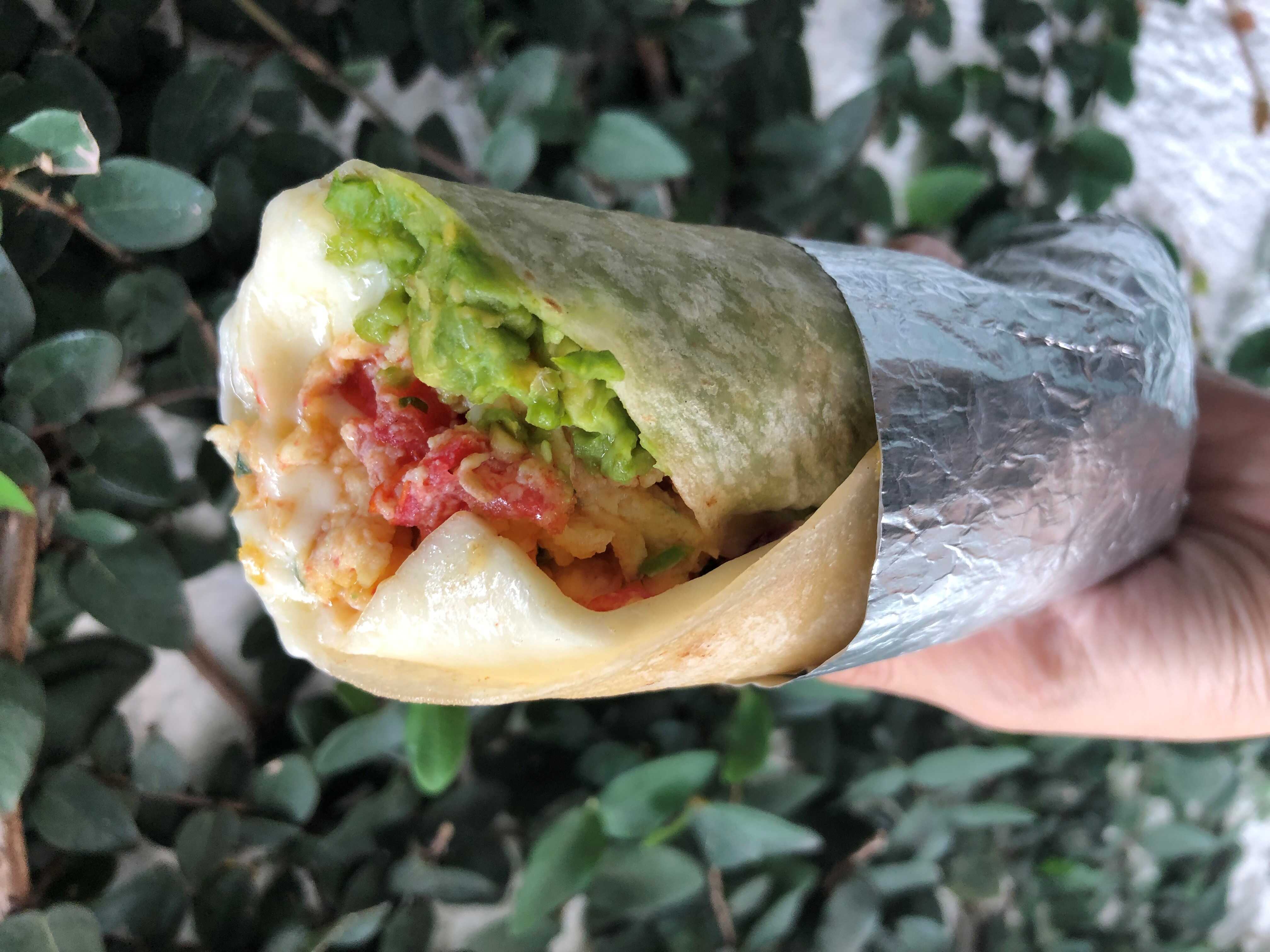 Burro Vegetariano