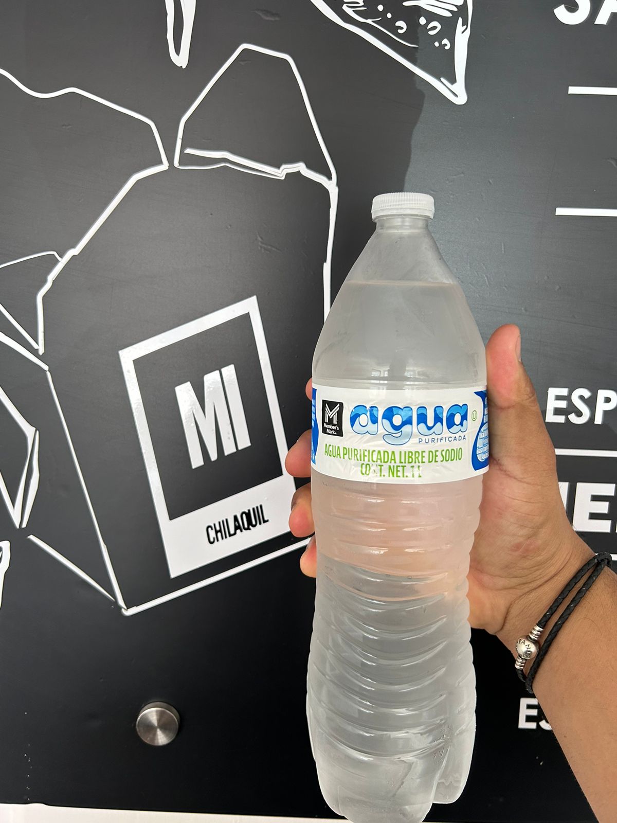 Agua Natural 1L