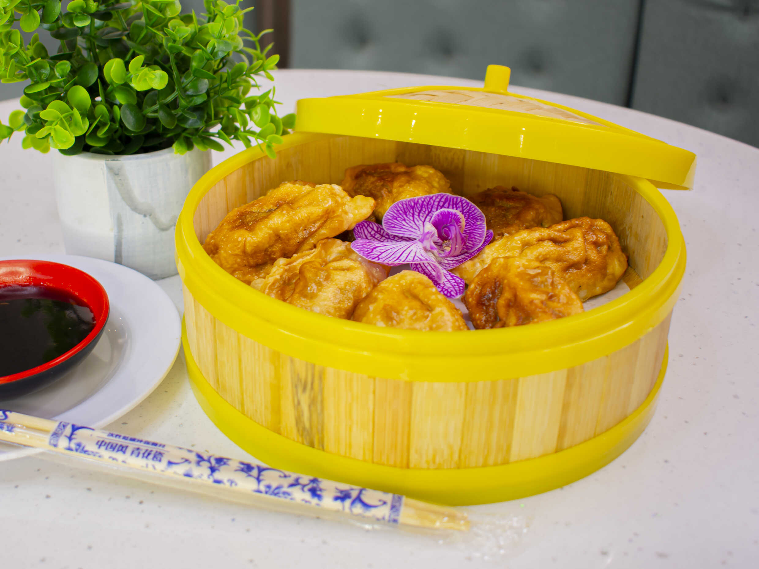 B4 Empanaditas china fritas 16 u/d
