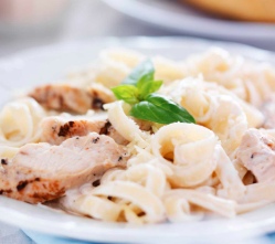 pasta alfredo