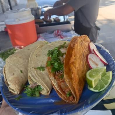 Taco Blando