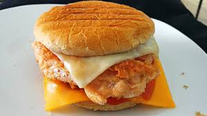 Combo Hamburguesa de Pollo + Gaseosa
