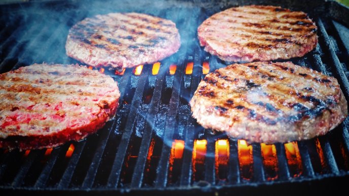 Carne Sola