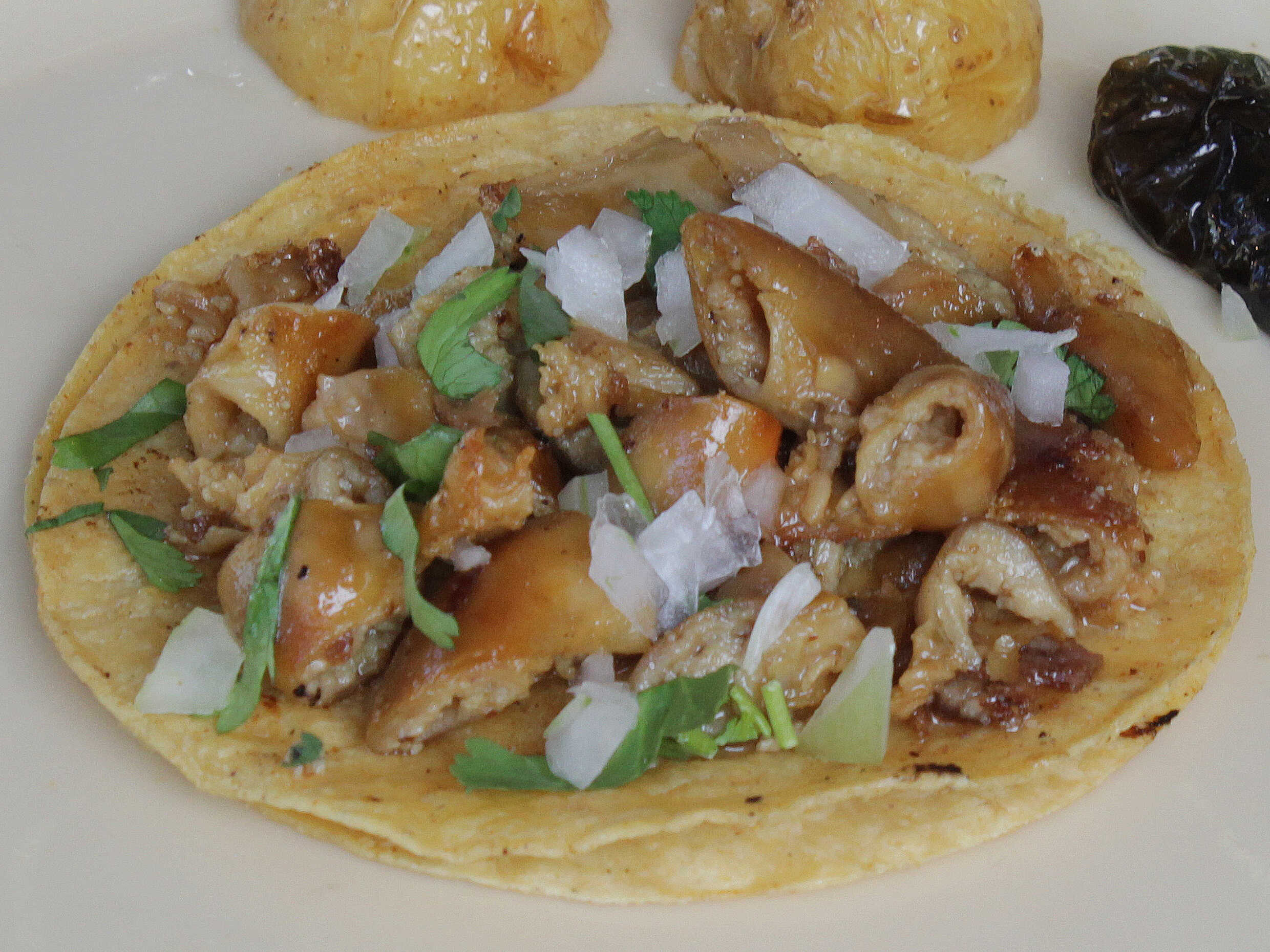 Taco de Tripa