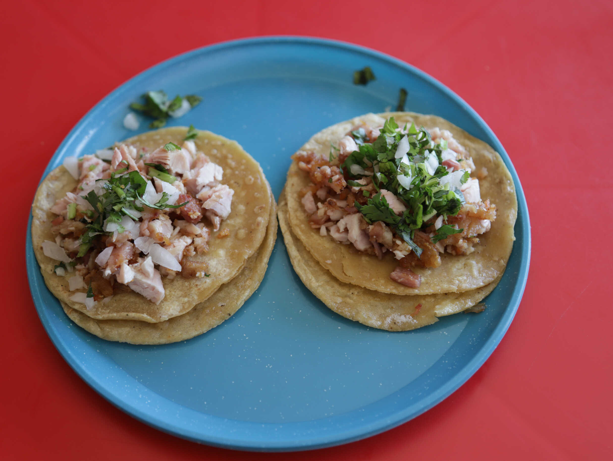 Taco Surtido