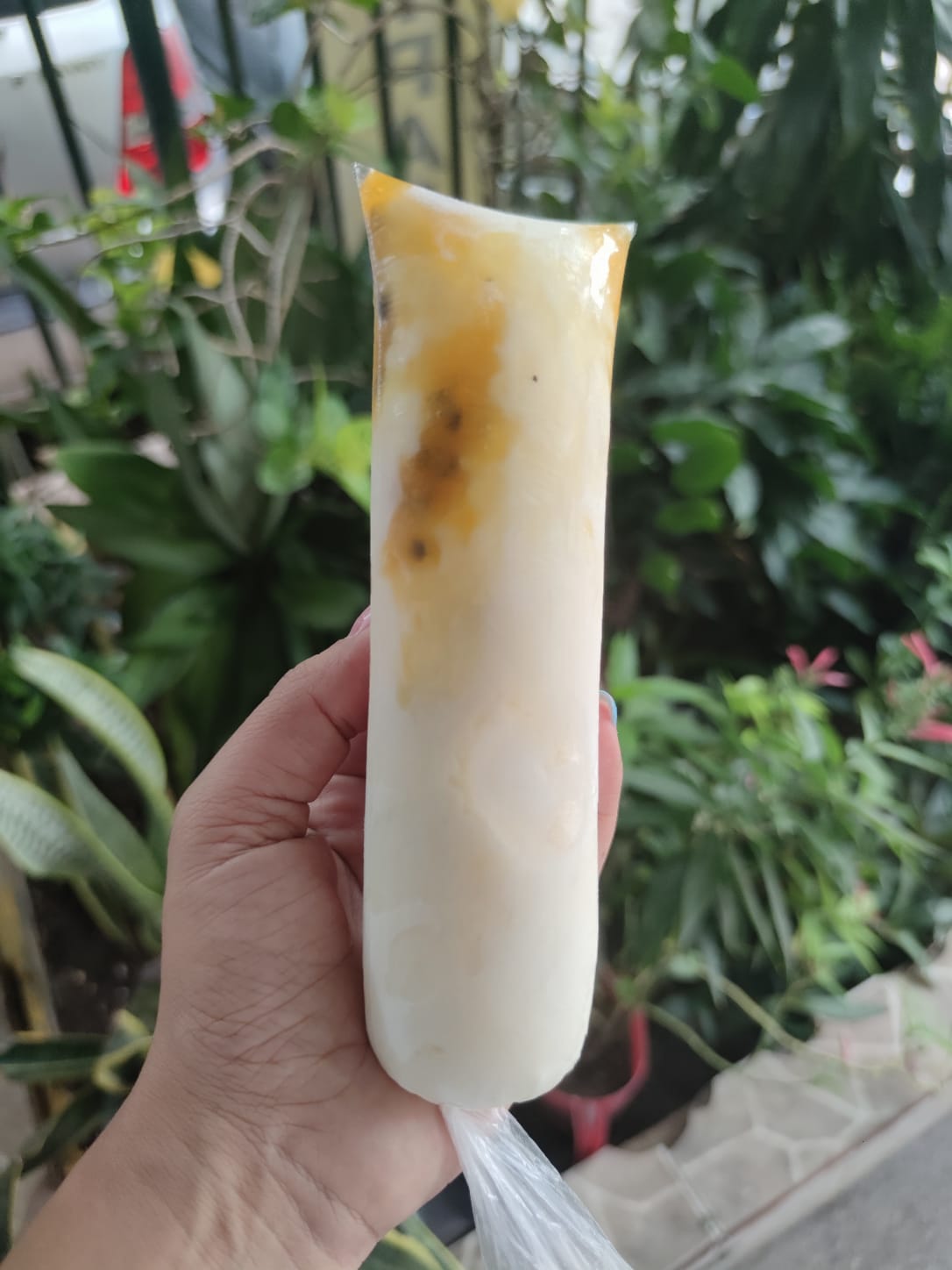BOLI MARACUYAS CON CREMA