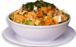 Yakimeshi Mixto Especial