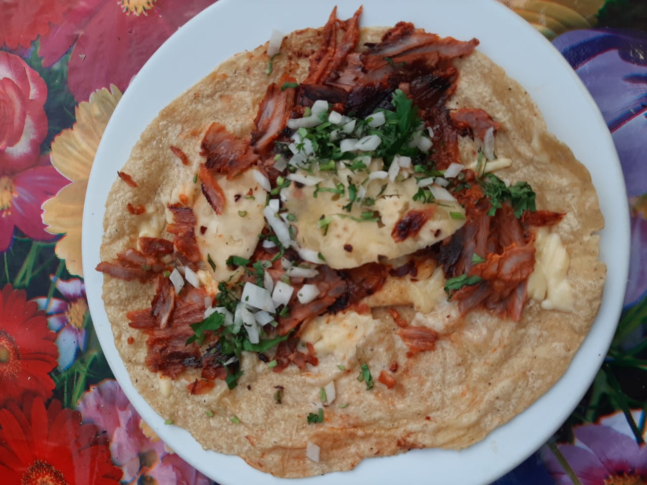 Gringa de Pastor (Tortilla de Harina)