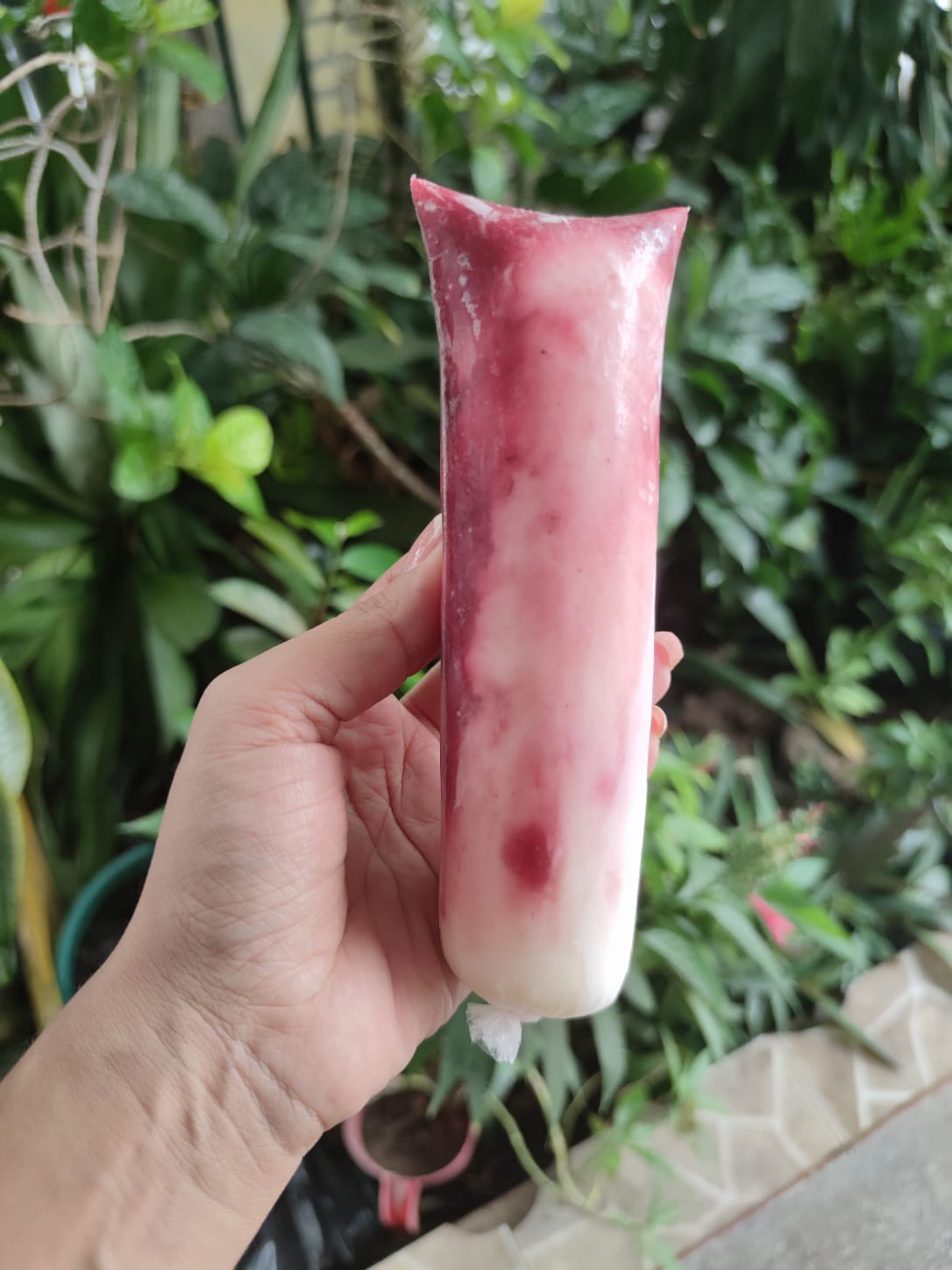 BOLI YOGURT DE MORA