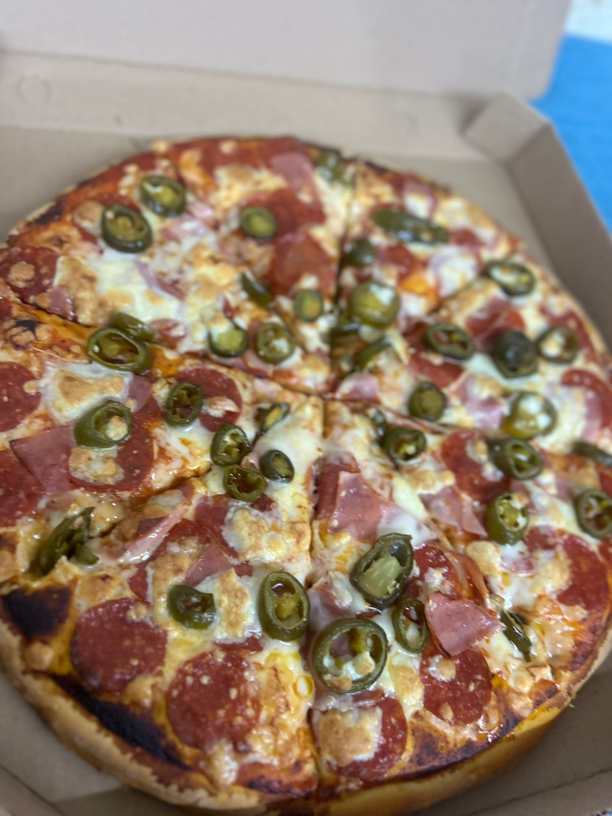 Pizza 1 Ingrediente Pizza 76