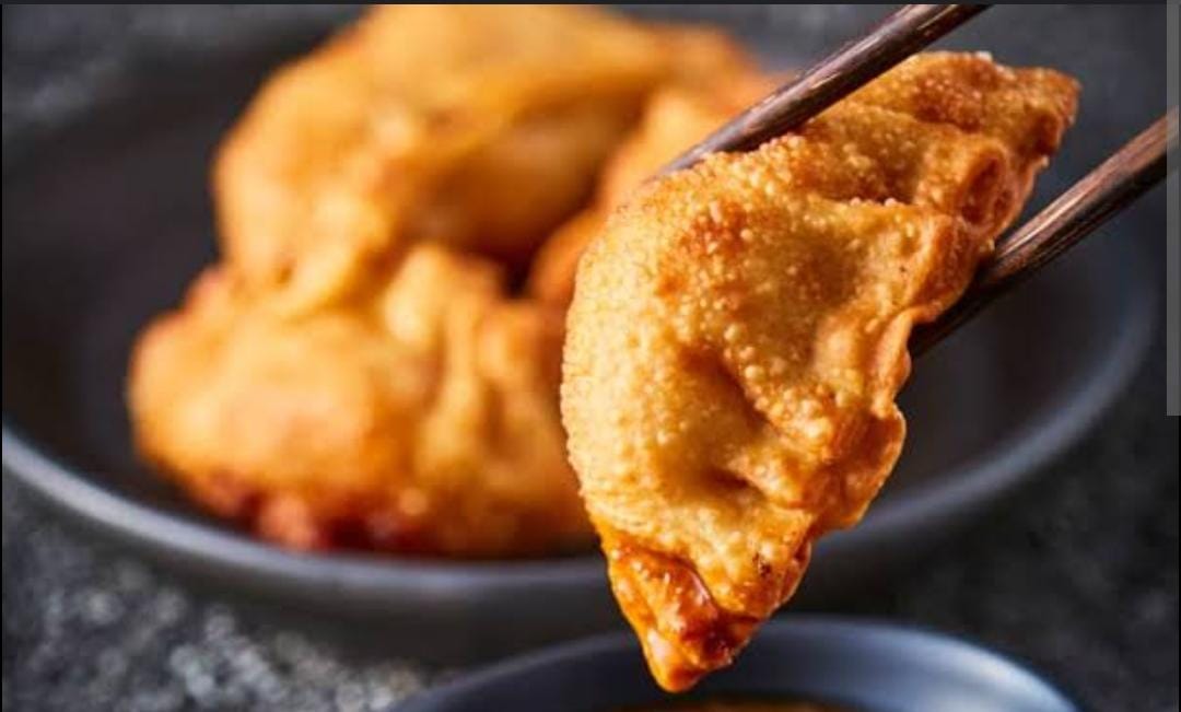 Gyozas 4 pzas