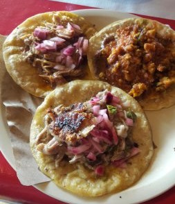 Taco de Lechon Negro