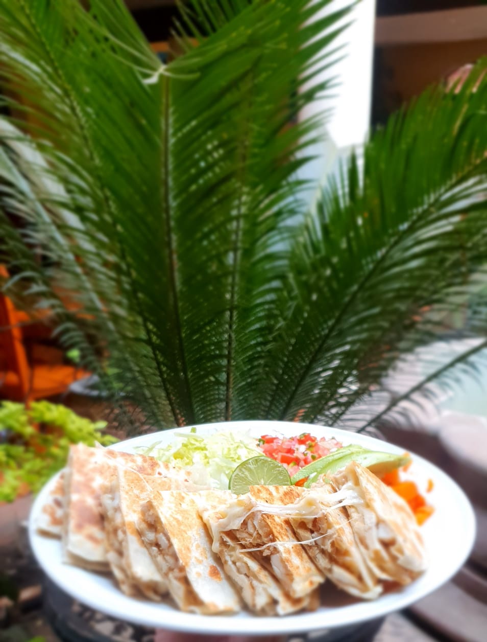 Sincronizada Ballena