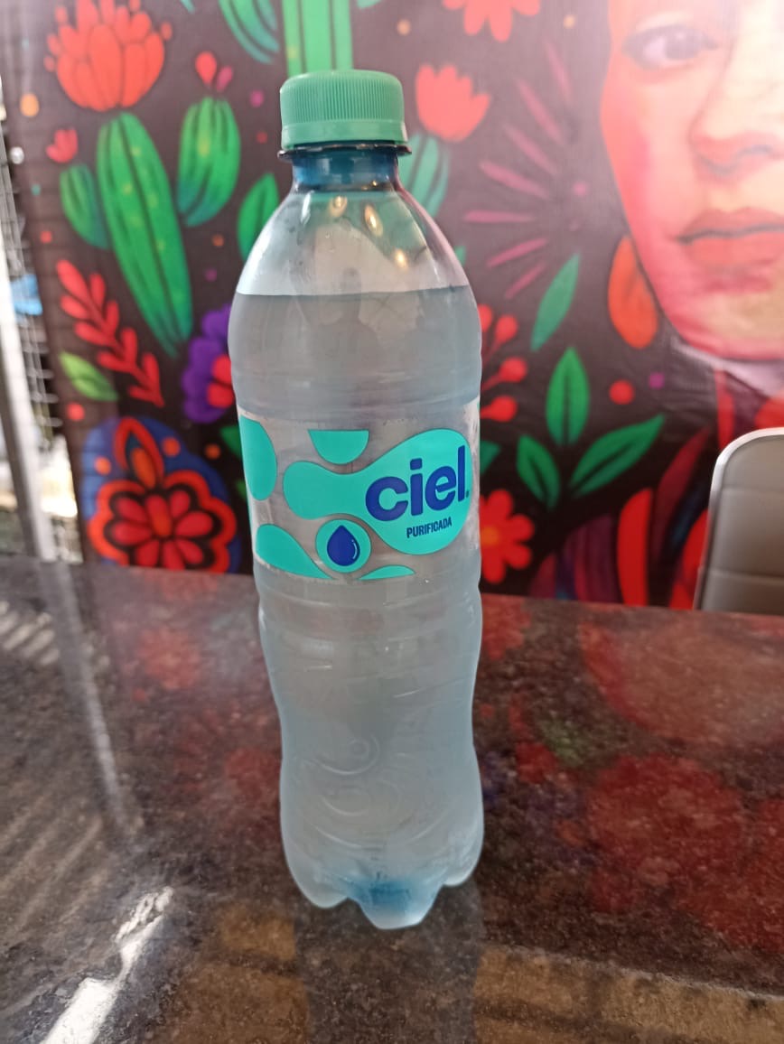 Agua Natural 600 ml