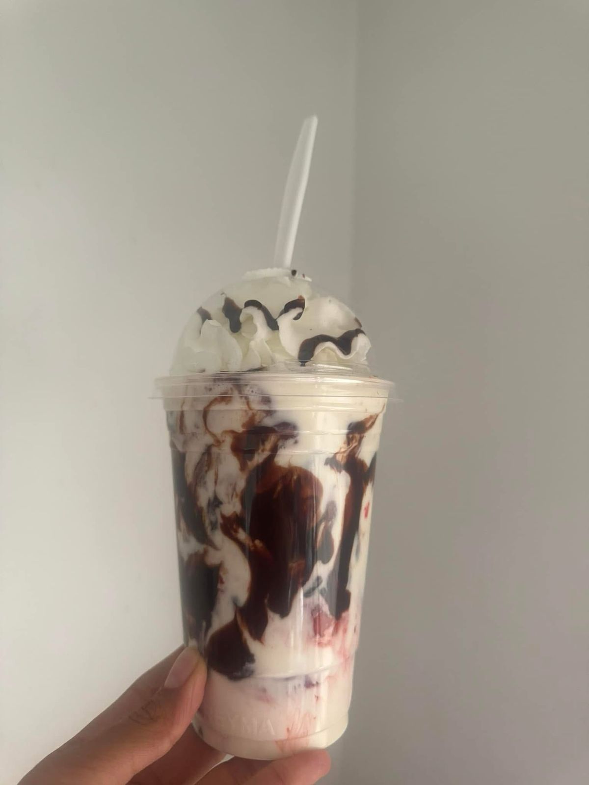 Fresas con Chocolate