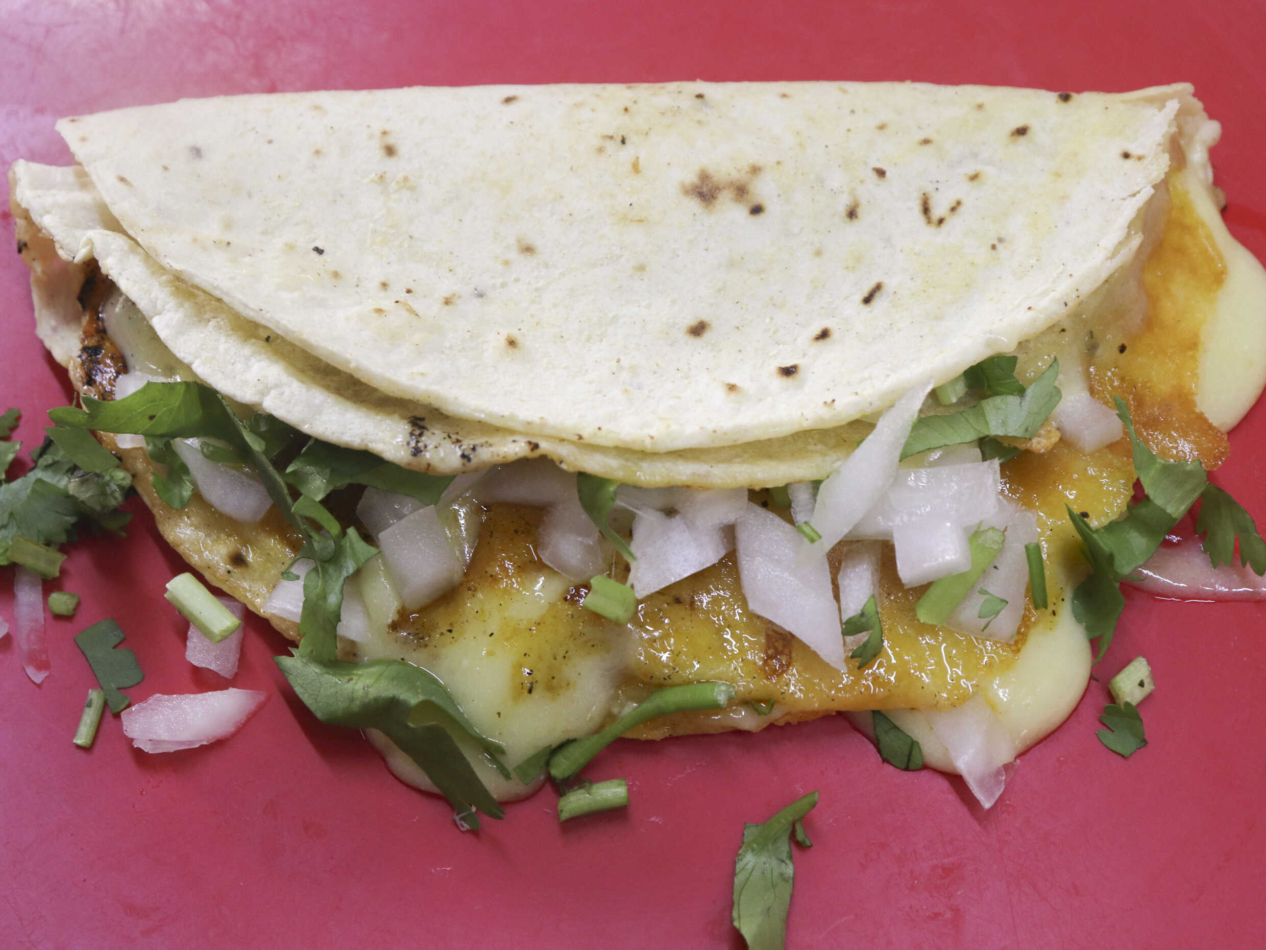 Quesadilla de Maiz con Barbacoa