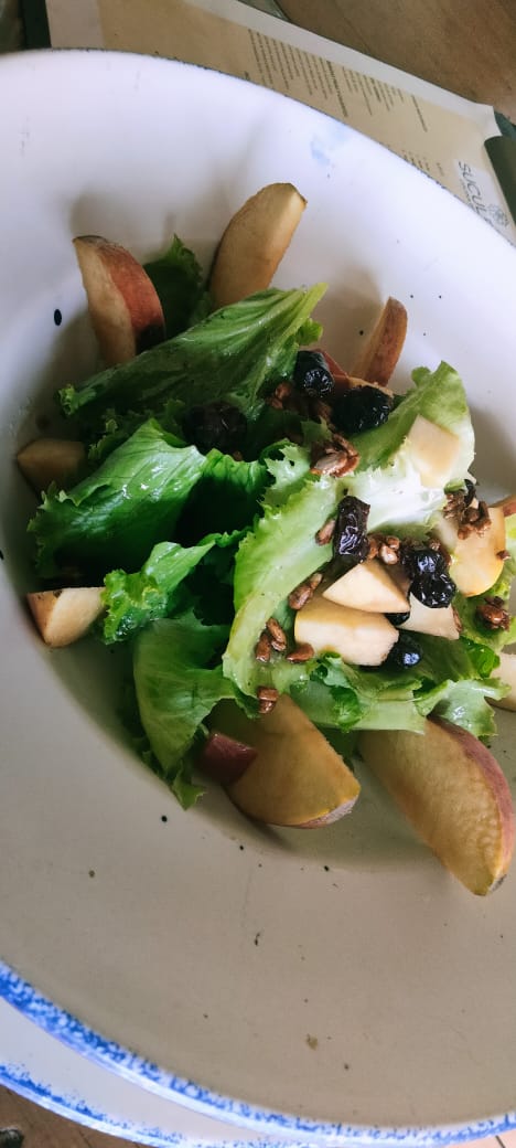 ENSALADA DE PECHUGA ASADA CON ARANDANOS Y MANZANA