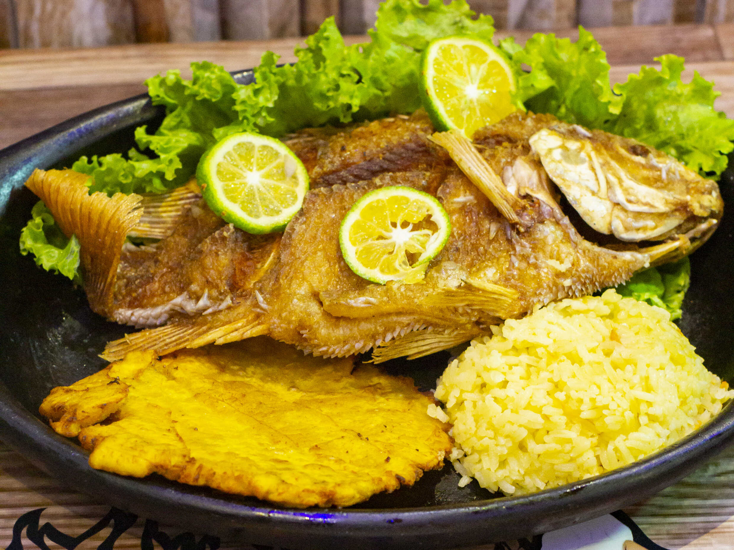 Tilapia