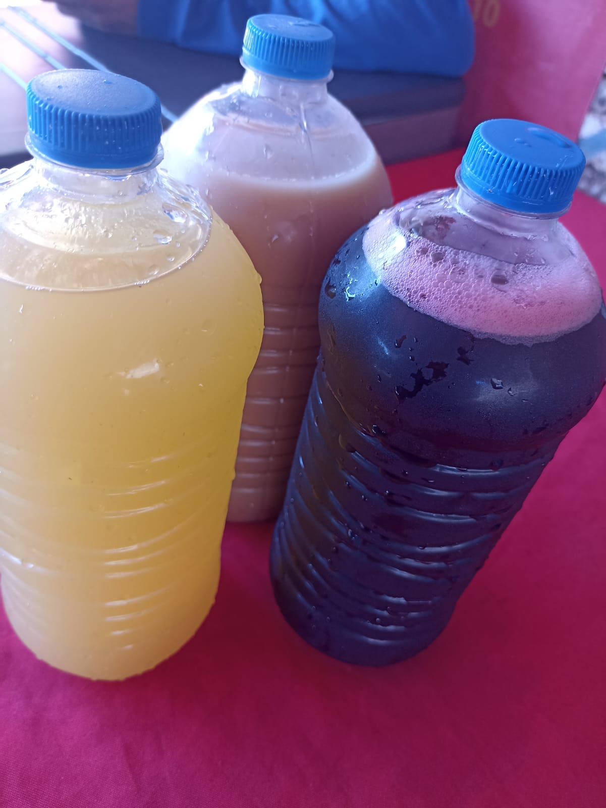 Agua Fresca de L