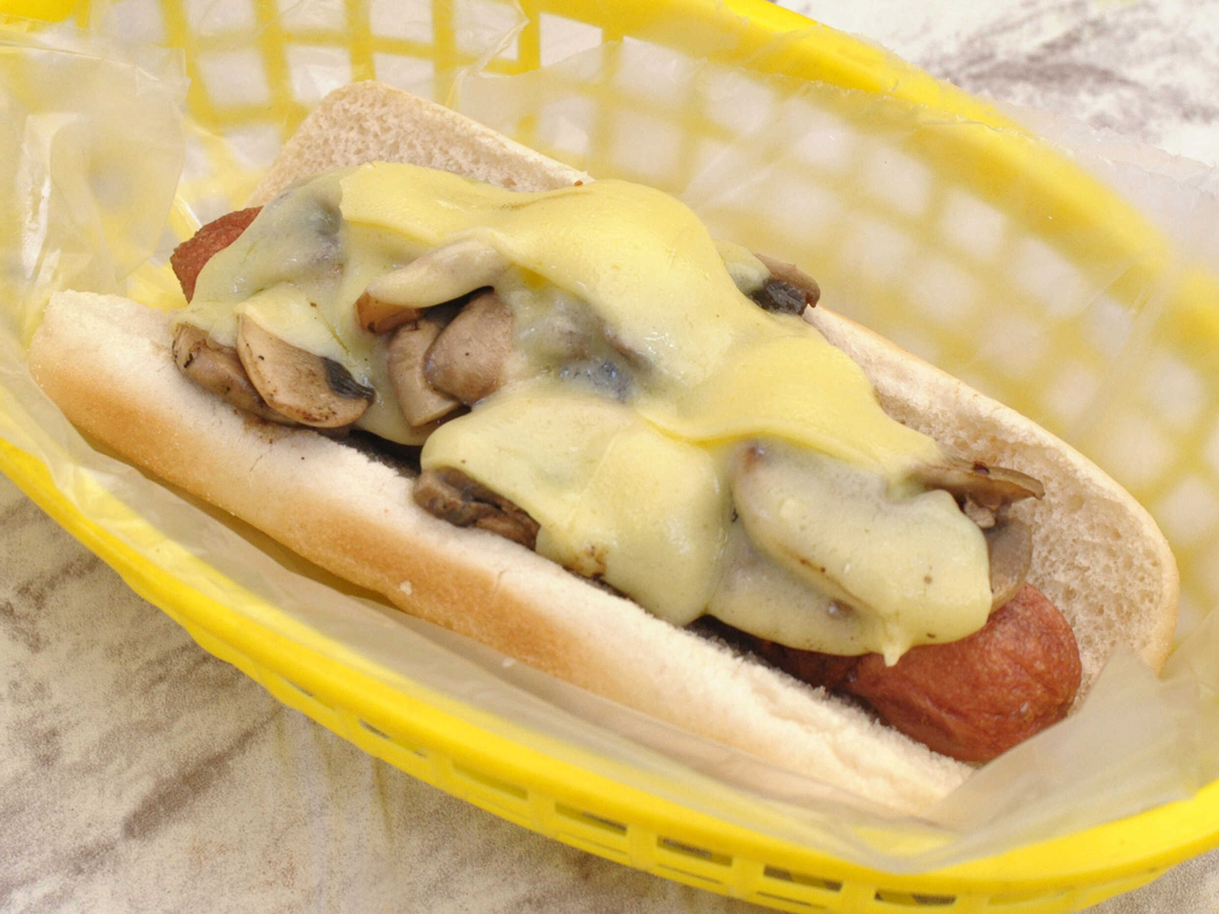 Champidog