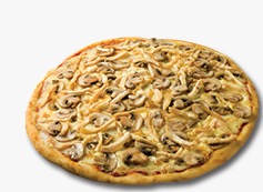 Pizza Especial
