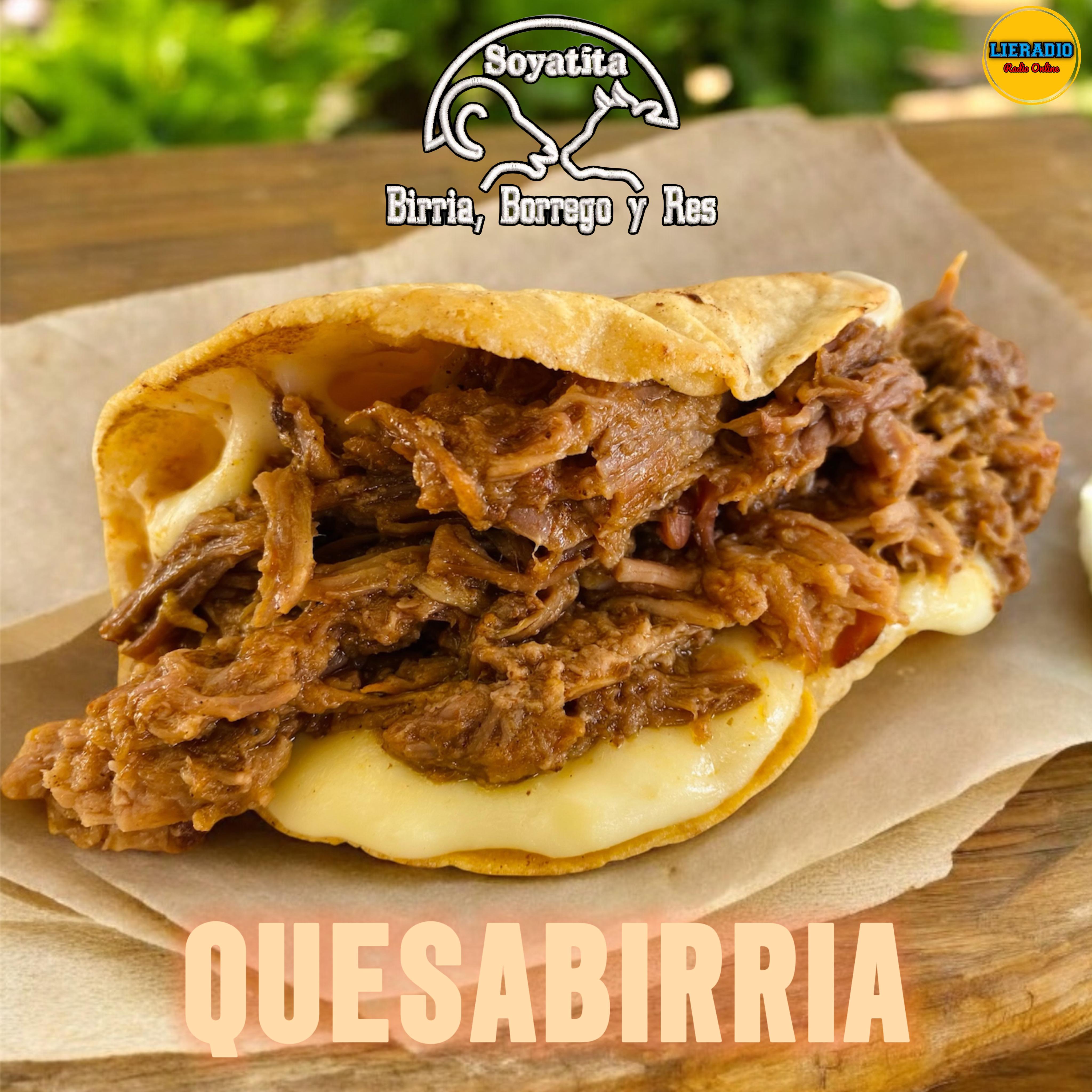 Quesabirria de Res*