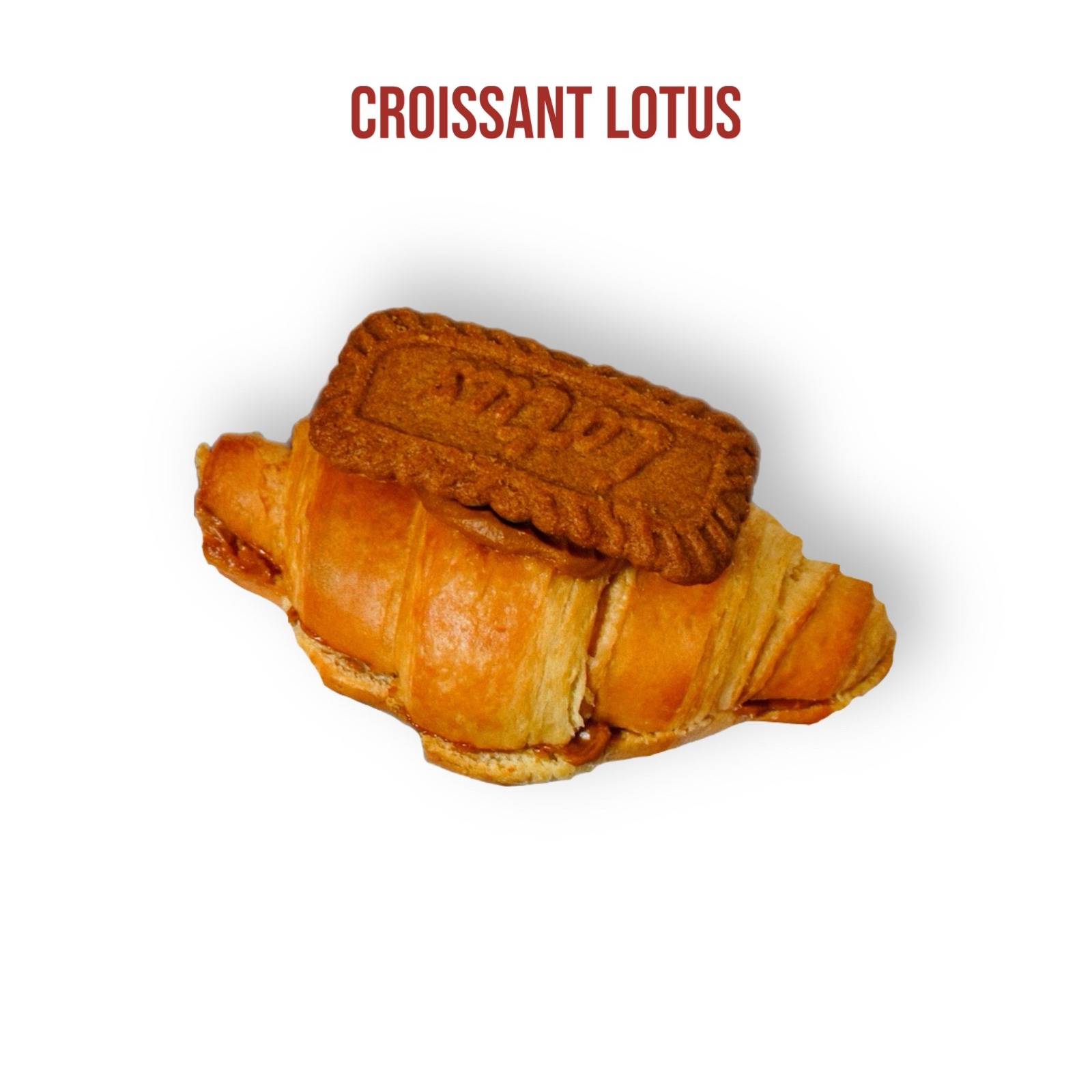 CROISSANT LOTUS
