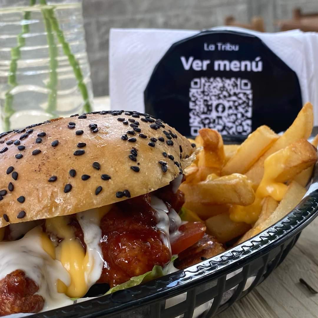 Combo Hamburguesa + Papas a la francesa + Bebida