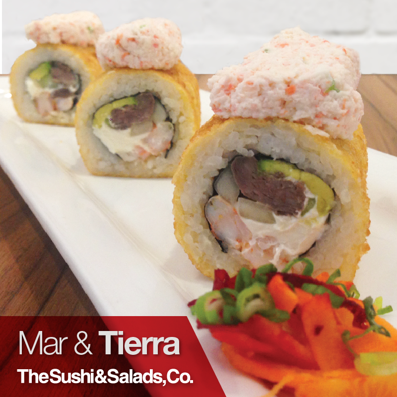 Mar y Tierra Especial