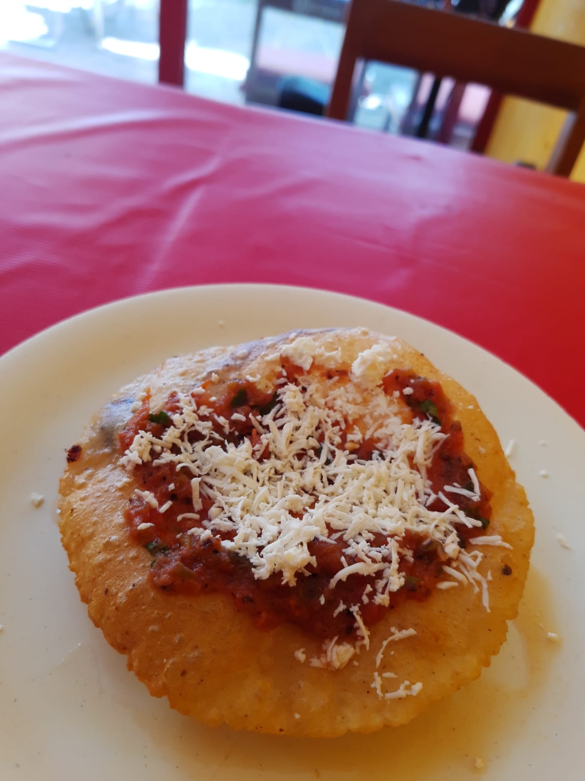 Gorda Sencilla