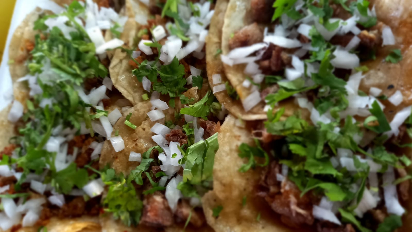 Taco de Tripa
