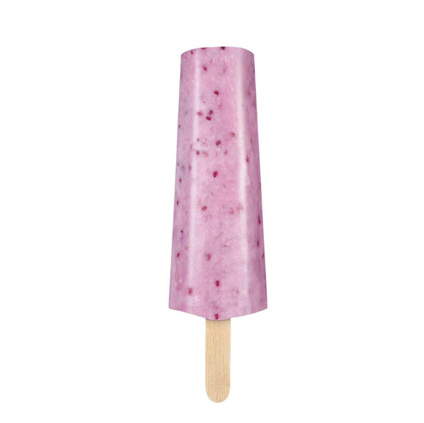 Paleta de Yogurt Zarzamora