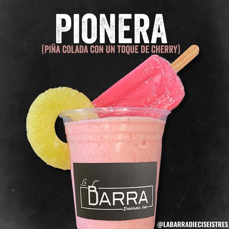 Pionera 1 L