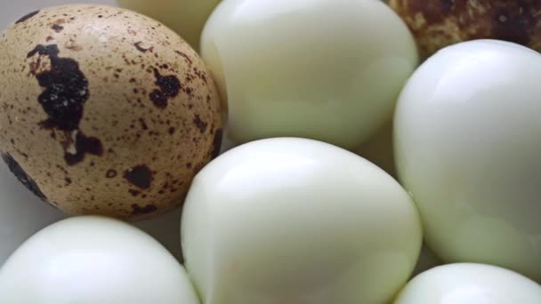 Huevos de codorniz