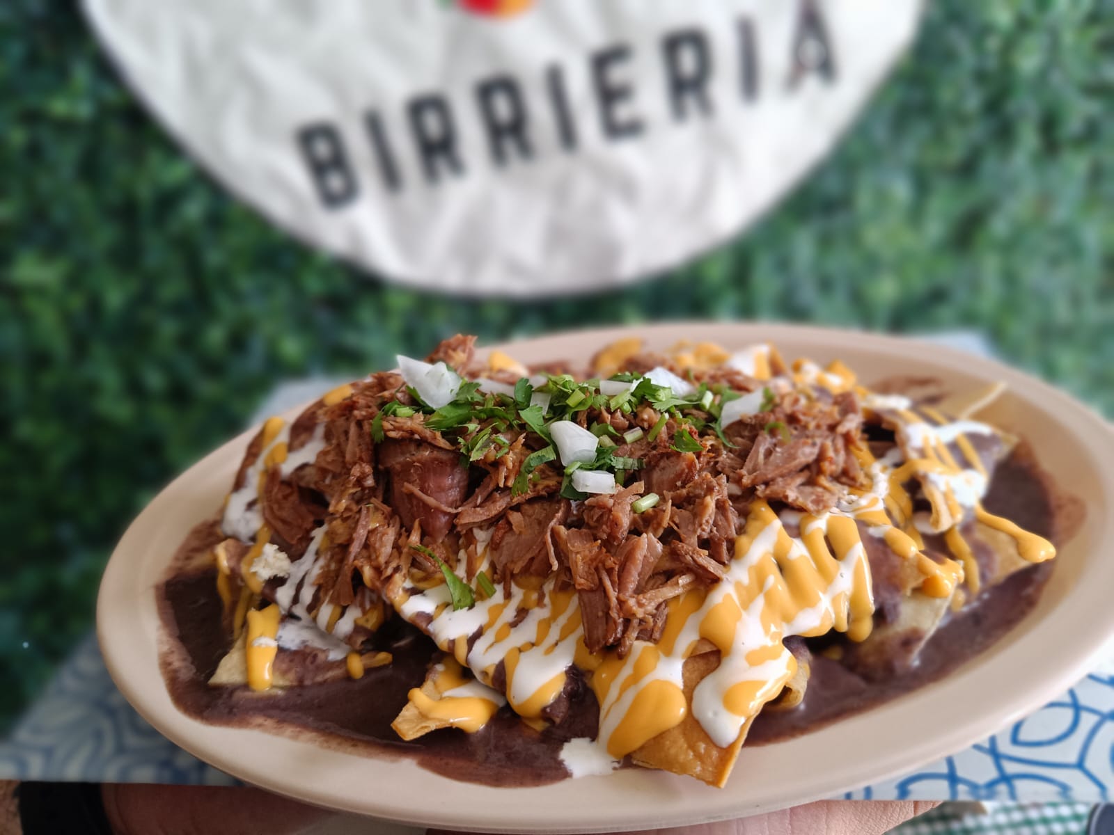 Nachos con Birria