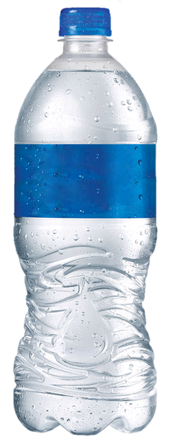 Agua Natural 1 lt