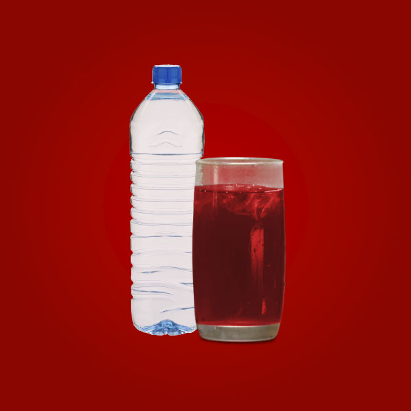 Agua de Jamaica (500ml)