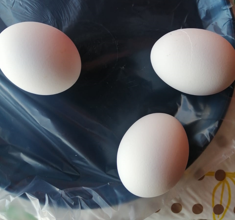 Huevos Cocidos