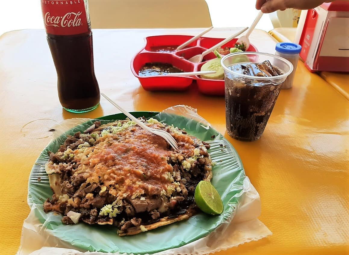 Vampiro de pastor