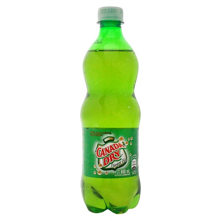 Canada Dry Ginger Ale 600 ml