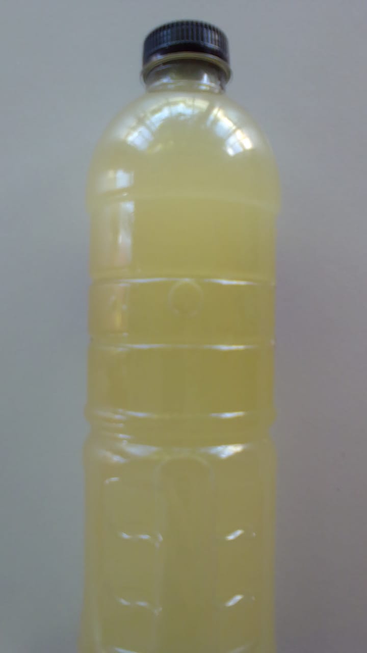 Agua Fresca de Limón Limonada con Pepino 500 Ml