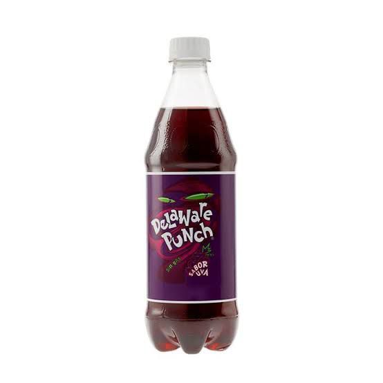 Delawere ponch 600 ml