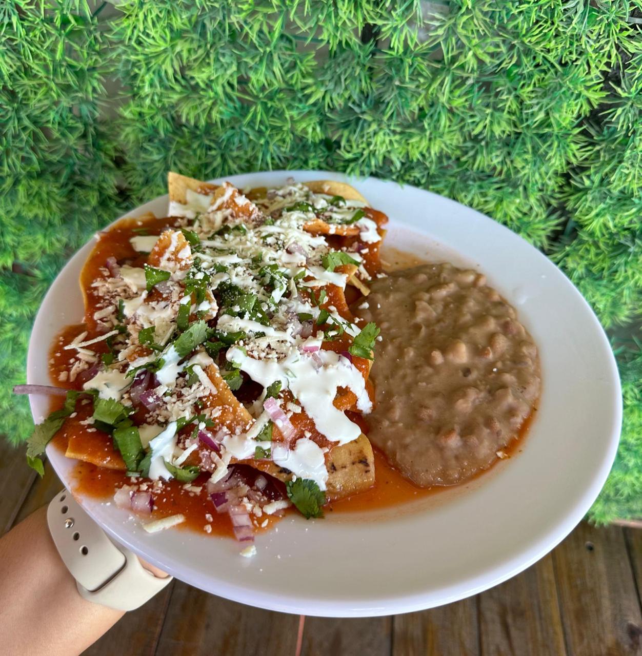 Chilaquiles Rojos, Verdes o Divorciados Sencillos.