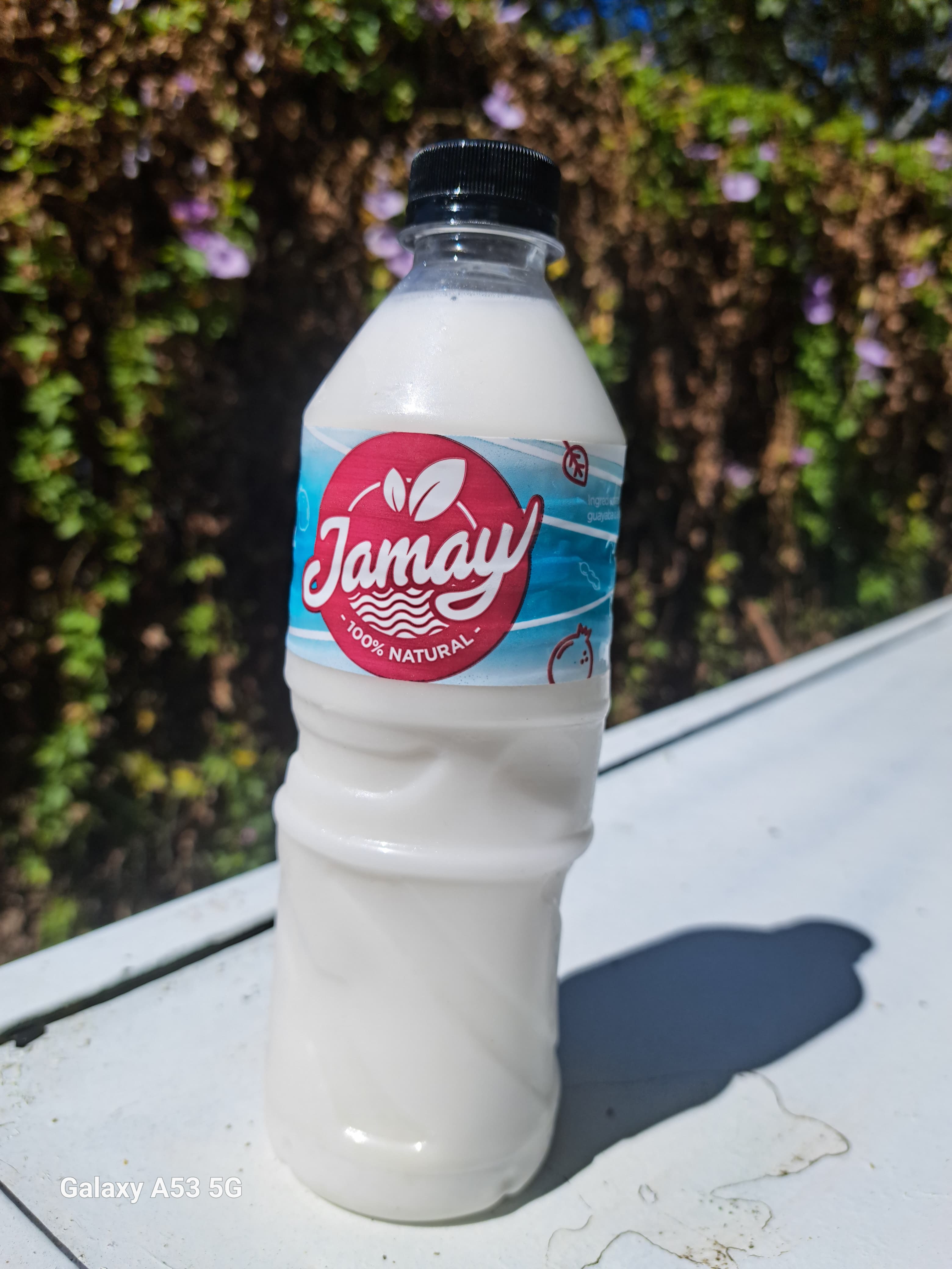 Agua de Horchata