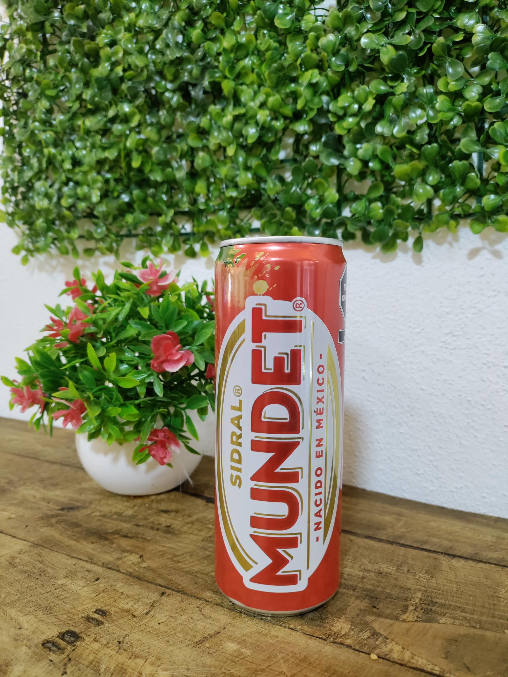 Sidral Mundet 355 Ml